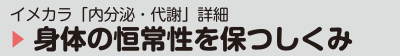 『イメカラ内分泌・代謝』詳細 体の恒常性を保つしくみ